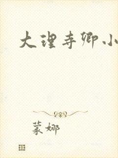 大理寺卿小说