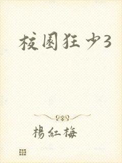 校园狂少3