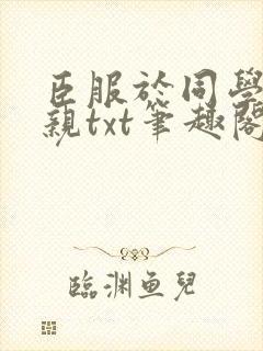 臣服于同学的母亲txt笔趣阁