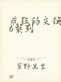 疯狂的交换1一6系列