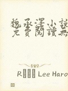 魏承泽小说全文免费阅读无弹窗笔趣