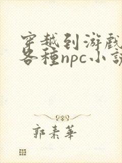 穿越到游戏里和各种npc小说封面