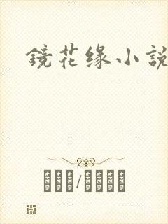 镜花缘小说
