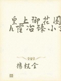 皇上御花园hlh霍冶臻小说封面