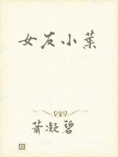 女友小叶封面