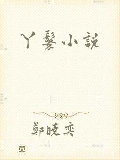 丫鬟小说