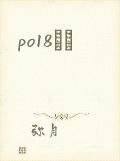 po18С˵封面