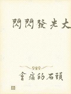 闪闪发光大团结封面