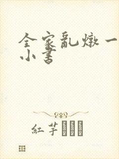 全家乱炖一锅烩小书