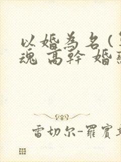 以婚为名 (军魂 高干 婚恋)