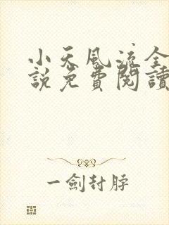 小天风流全集小说免费阅读