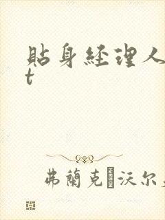 贴身经理人txt
