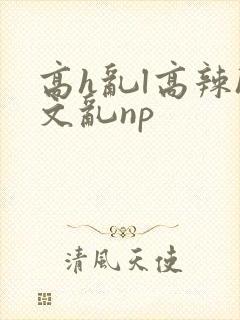 高h乱l高辣h文乱np