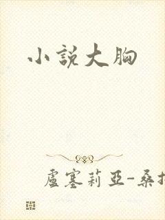 小说大胸