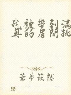 我被带到满是玩具的房间挑调作文
