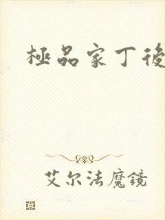极品家丁后传