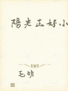 阳光正好小说
