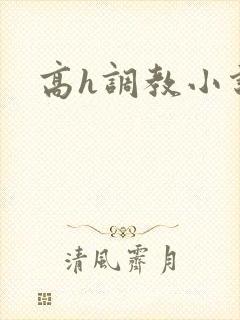 高h调教小说