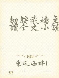 细腰藏娇免费阅读全文小说苏珞浅
