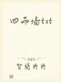 四面墙txt