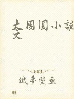 大团圆小说集全文封面