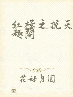 红楼之挽天倾笔趣阁