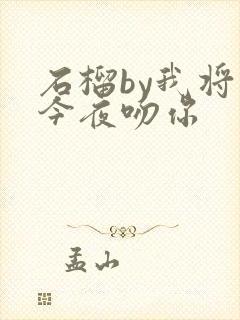 石榴by我将在今夜吻你