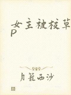 女主被校草们NP封面