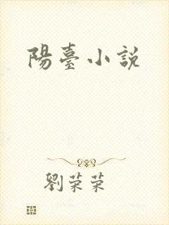 阳台小说封面