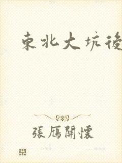 东北大坑后续2
