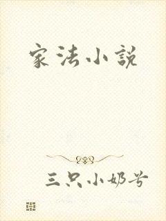 家法小说