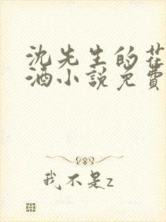 沈先生的花式调酒小说免费阅读