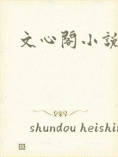 文心阁小说