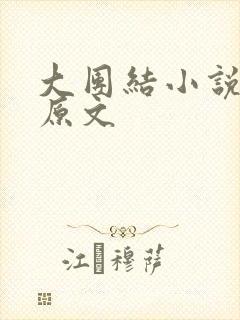 大团结小说阅读原文