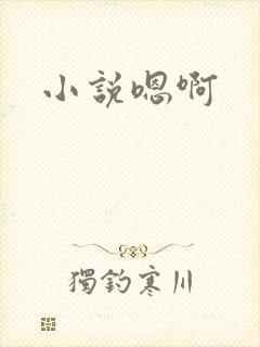 小说嗯啊