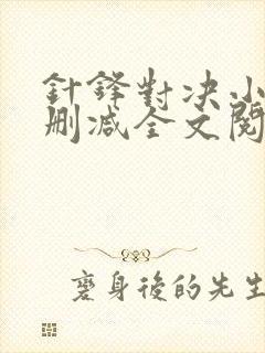针锋对决小说未删减全文阅读