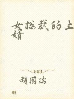 女总裁的上门女婿