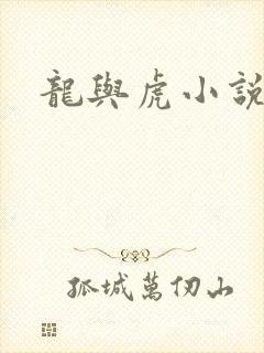 龙与虎小说