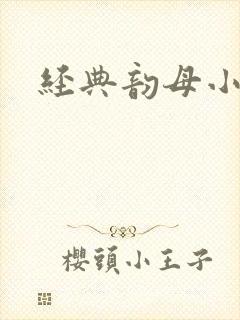 经典韵母小说