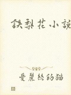 铁梨花小说