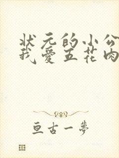 状元的小公主(我爱五花肉)