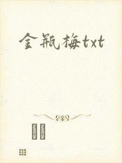 金瓶梅txt封面