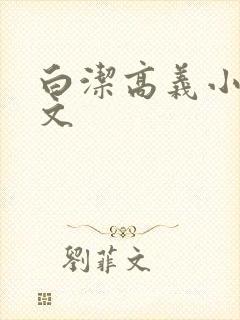 白洁高义小说全文