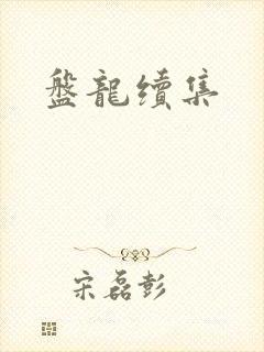盘龙续集封面