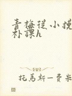 青梅从小摸到大补课h封面