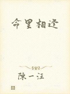 命里相逢封面