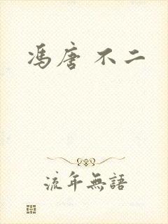 冯唐 不二封面