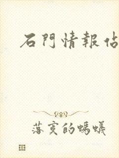 石门情报站