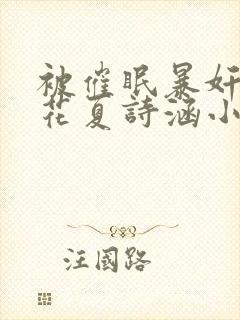 被催眠暴奸的校花夏诗涵小说