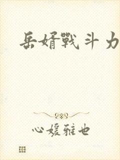 岳婿战斗力